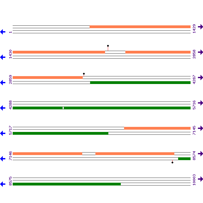 Genome View