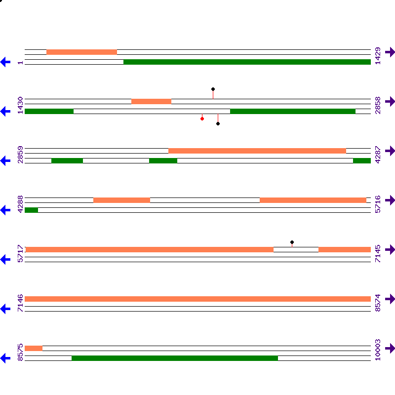 Genome View