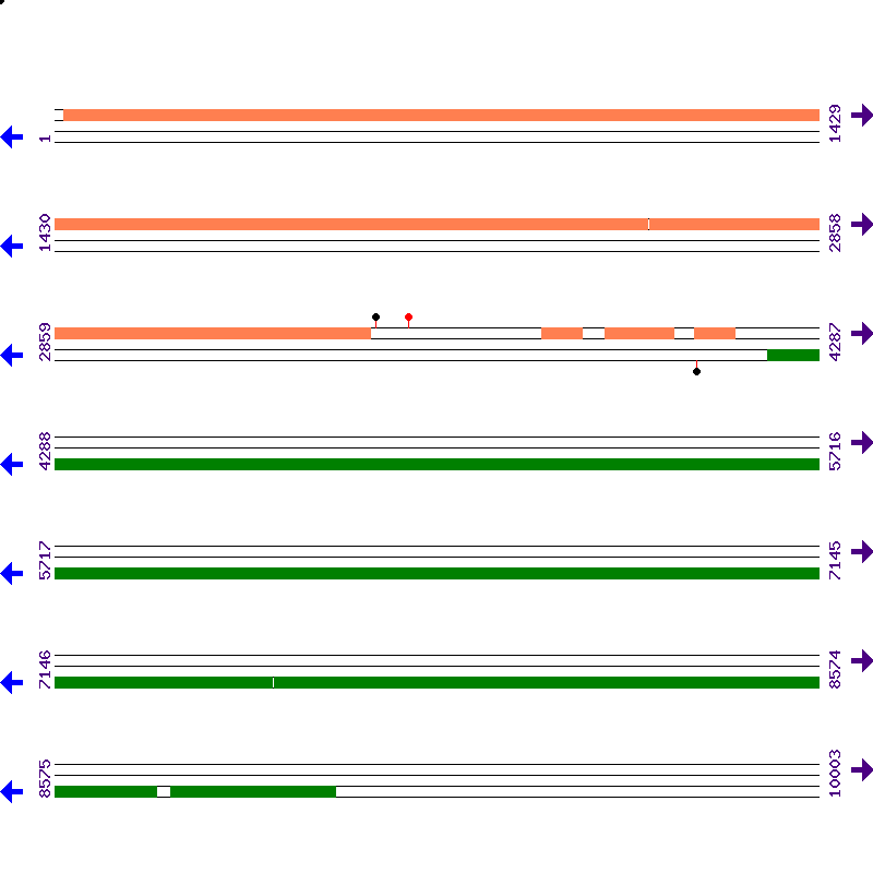 Genome View