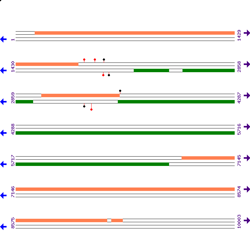 Genome View