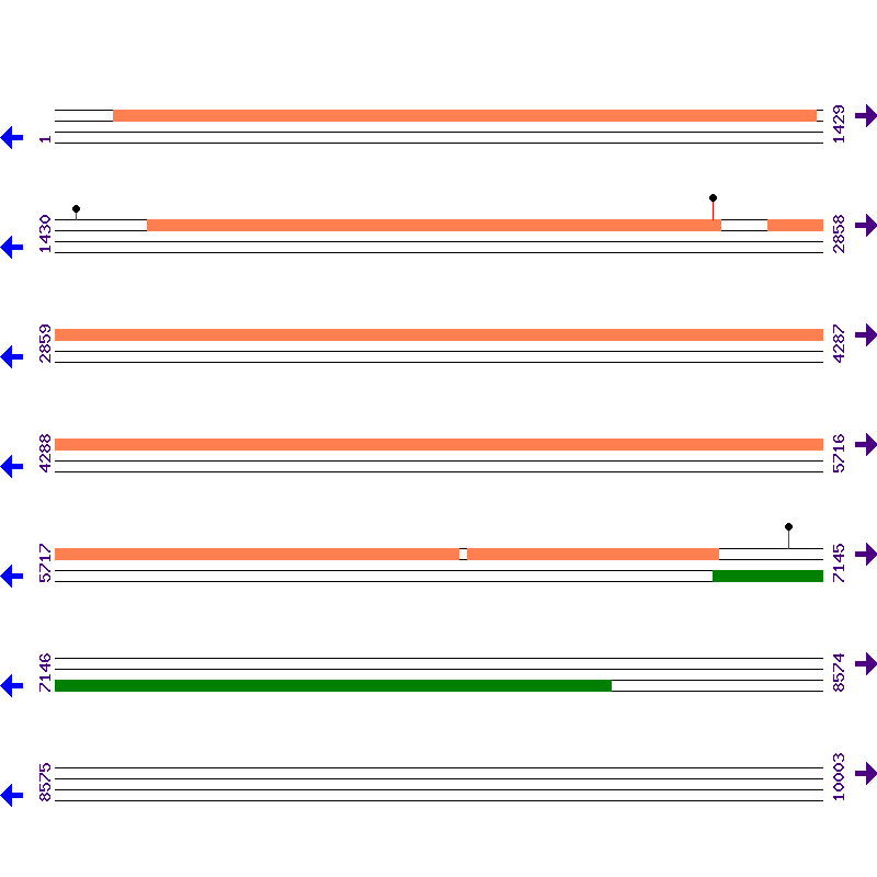 Genome View