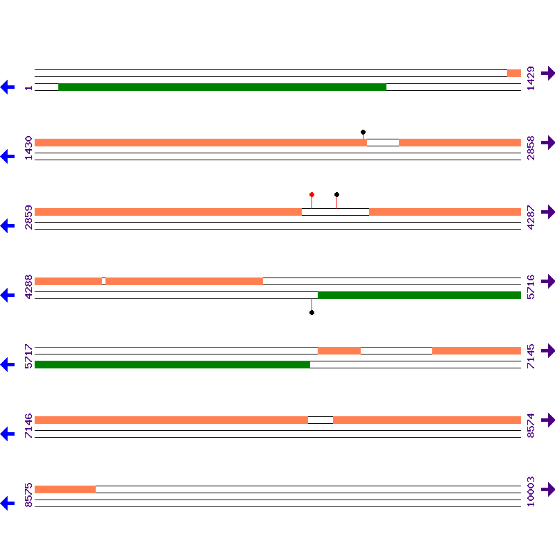 Genome View