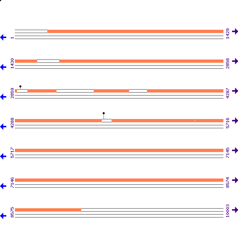 Genome View