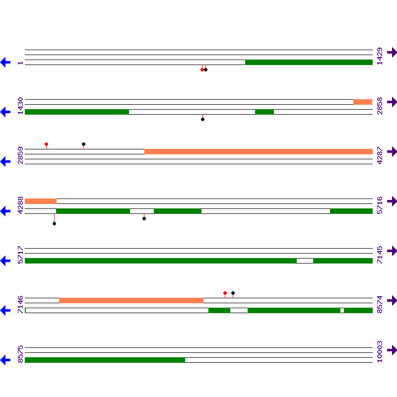 Genome View