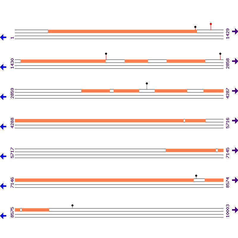Genome View