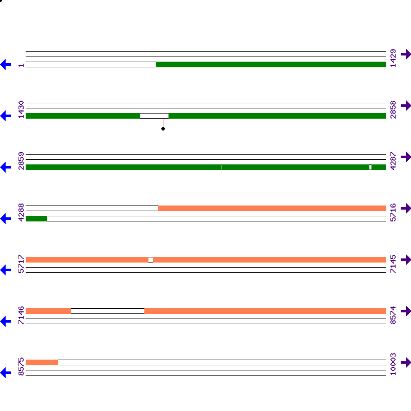 Genome View