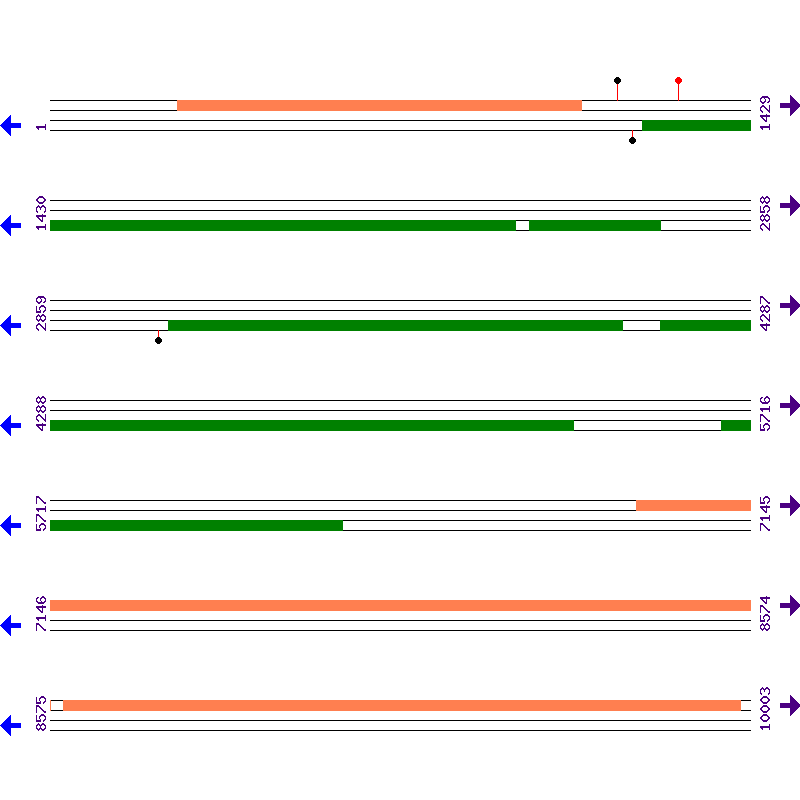 Genome View