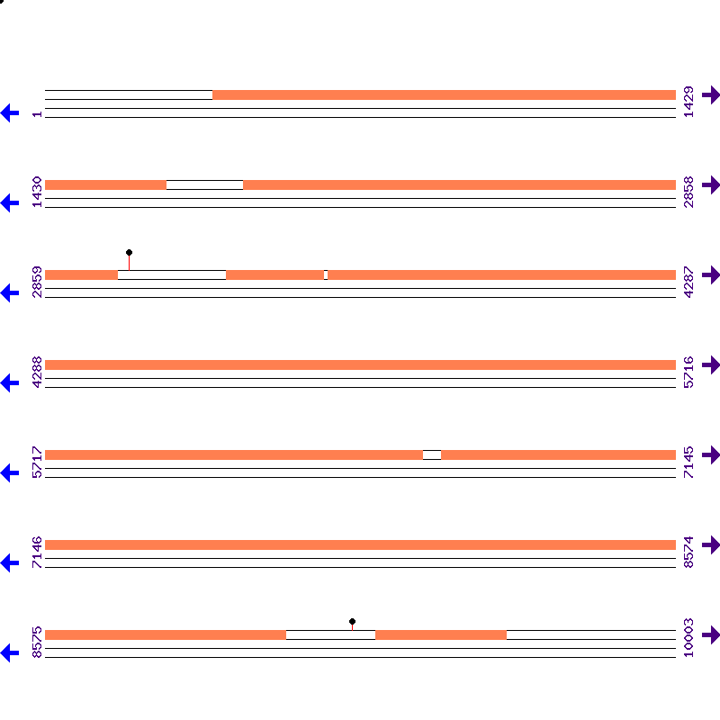 Genome View