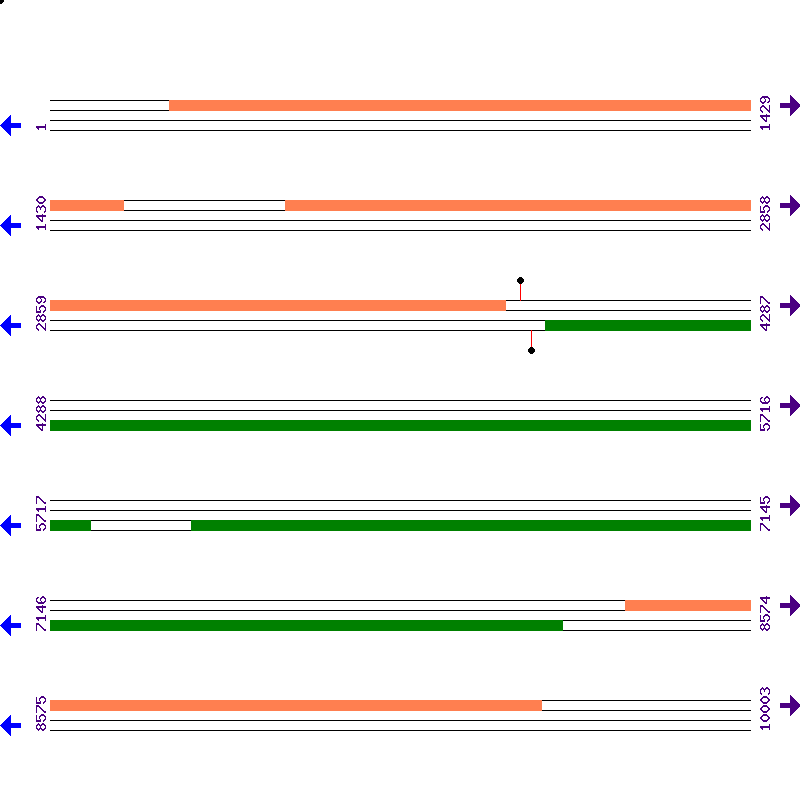 Genome View
