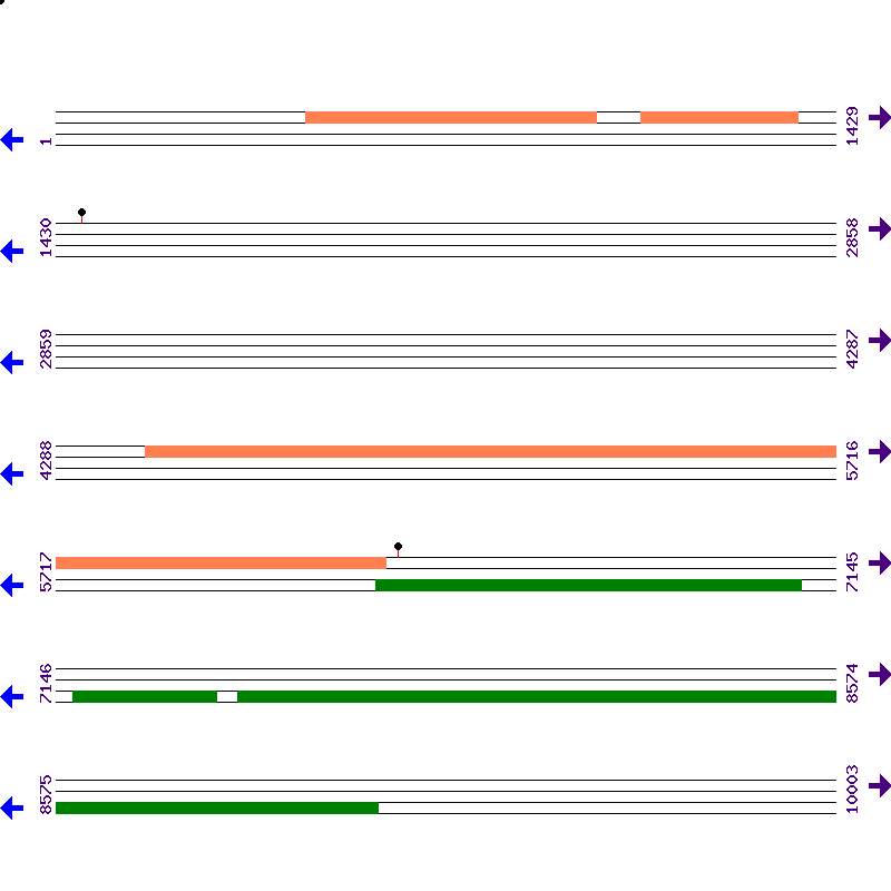 Genome View