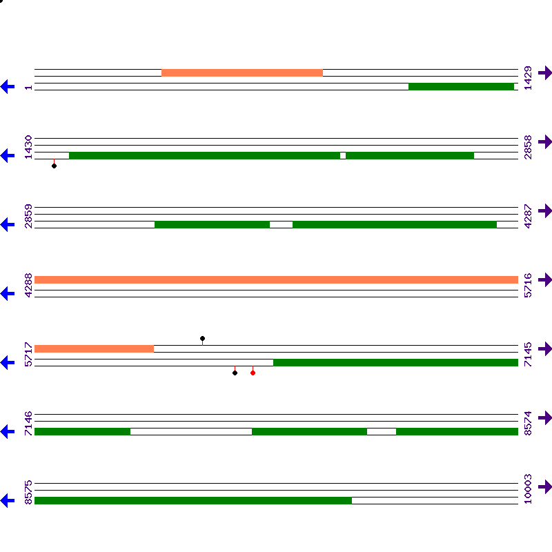 Genome View