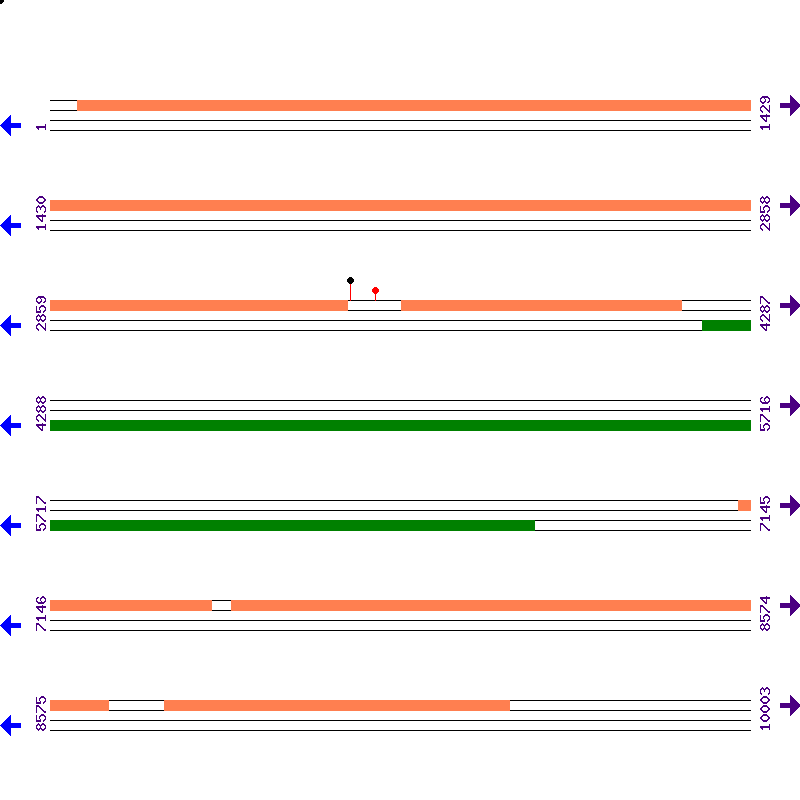 Genome View