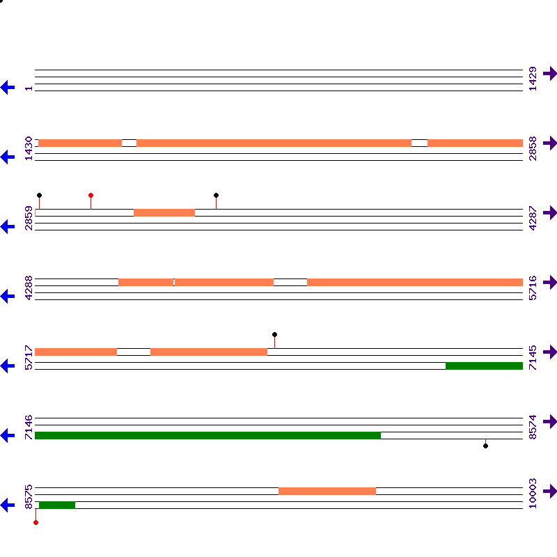 Genome View