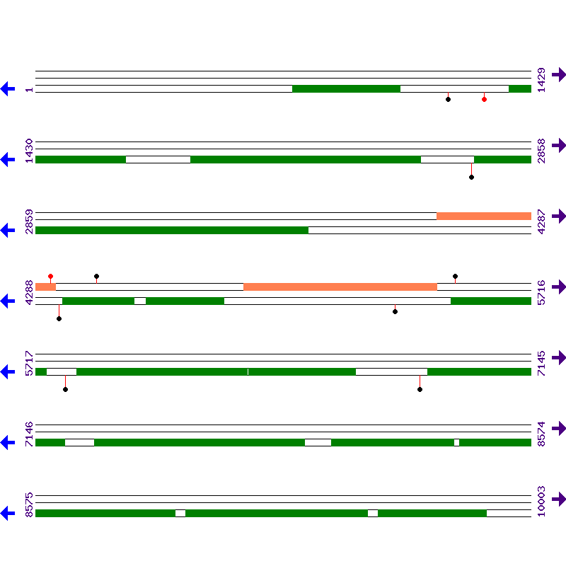 Genome View