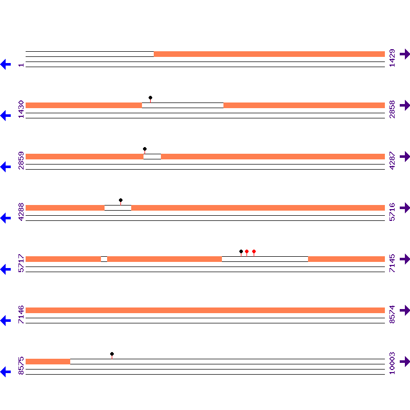 Genome View