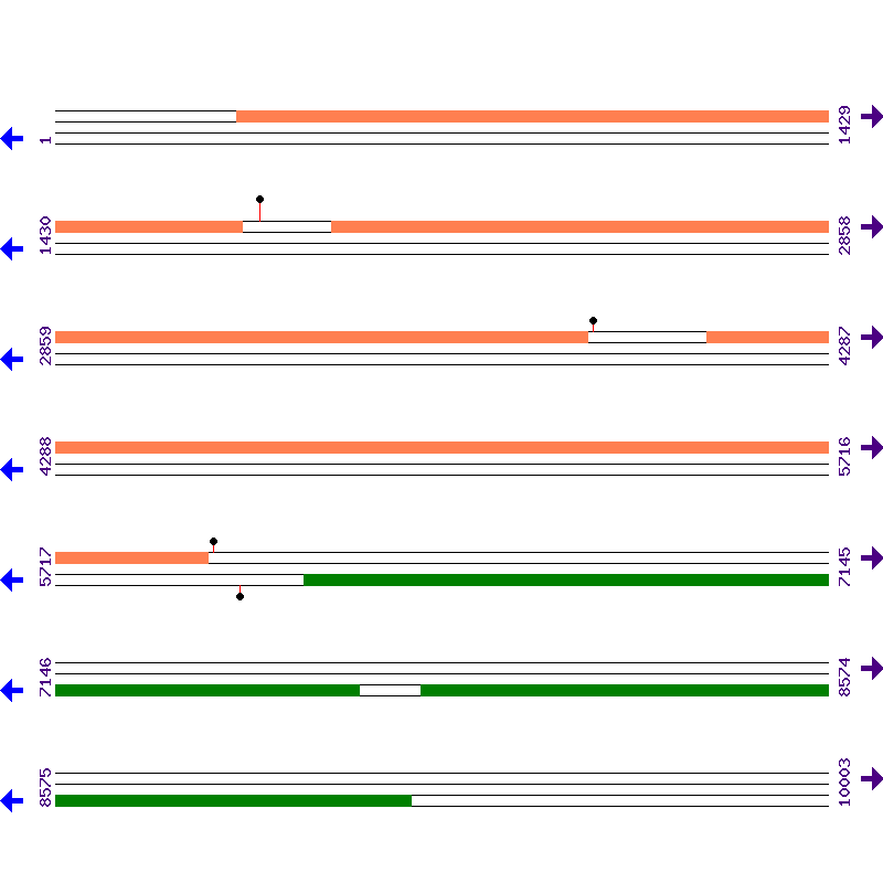 Genome View