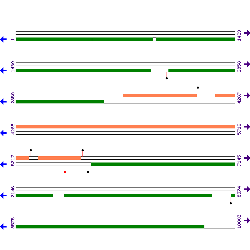 Genome View