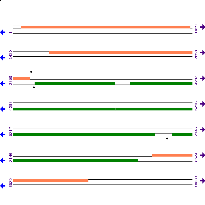 Genome View
