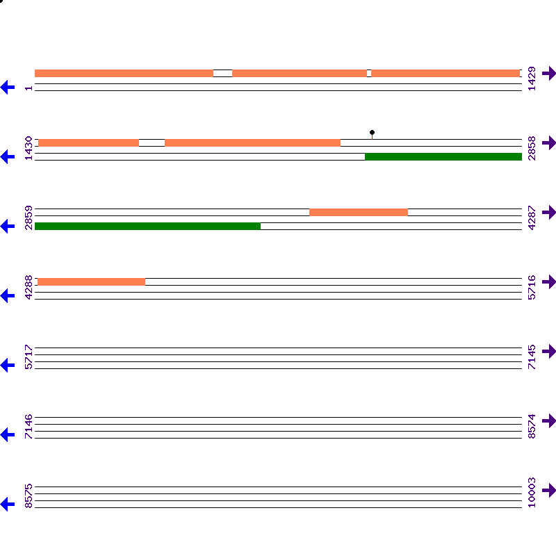 Genome View