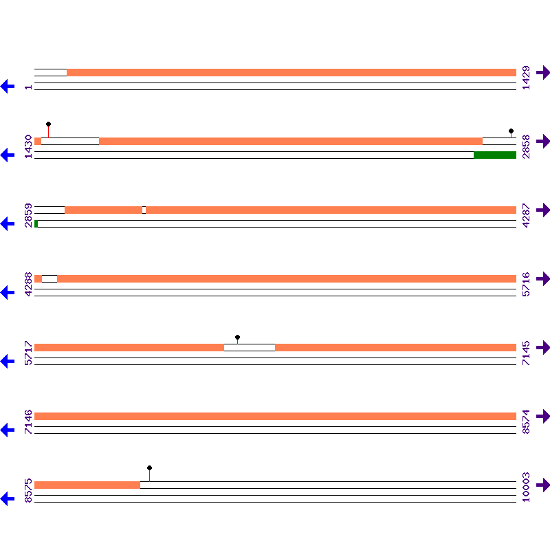Genome View