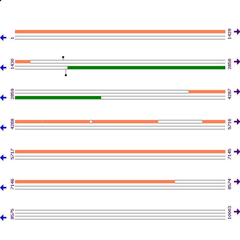 Genome View