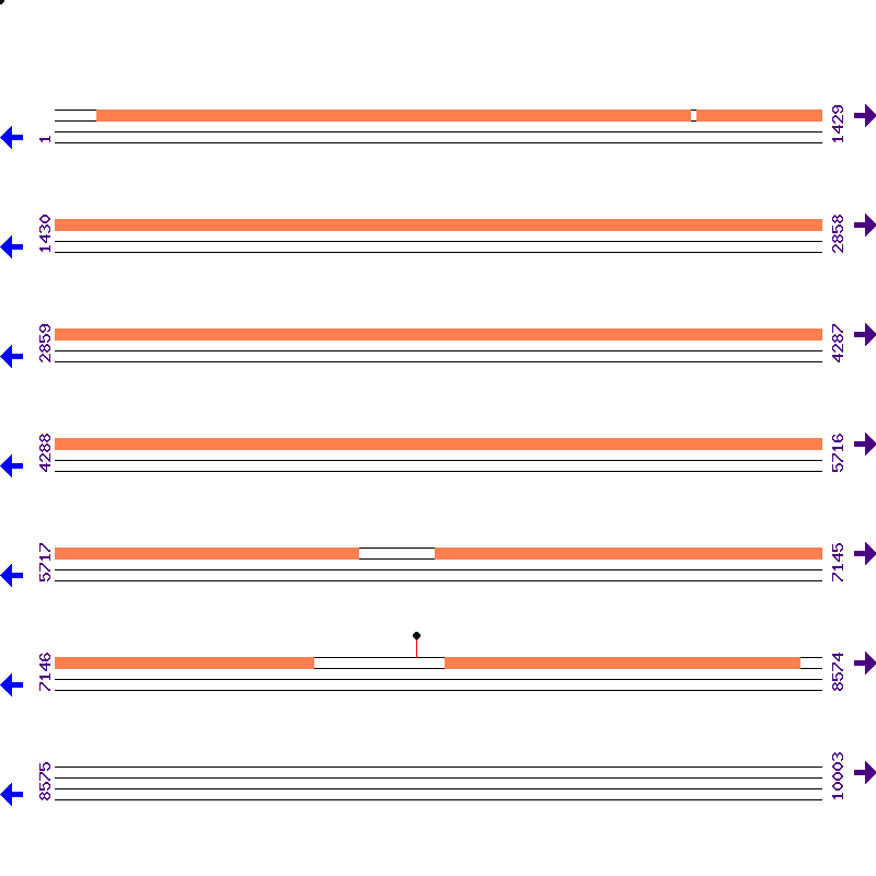 Genome View