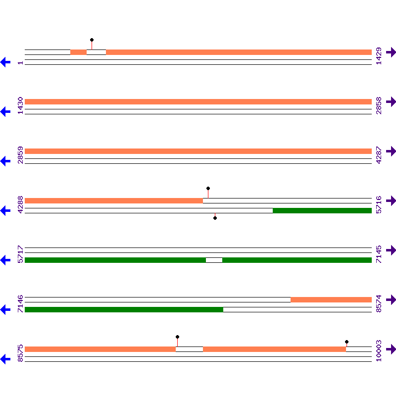 Genome View