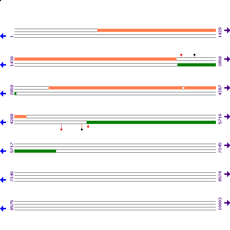 Genome View