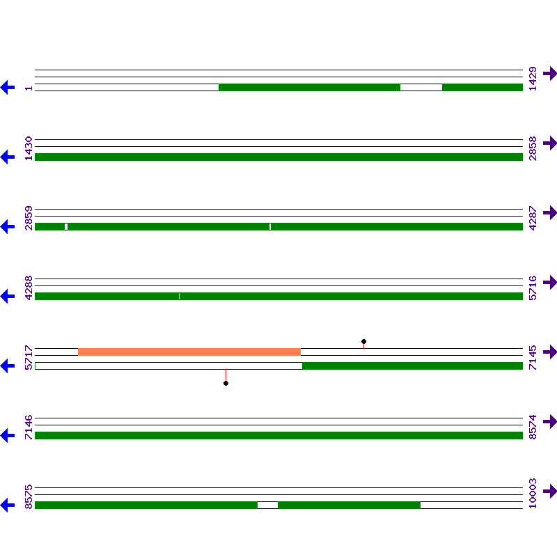 Genome View