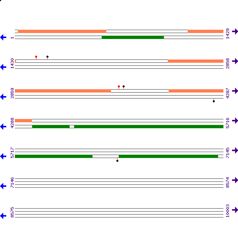 Genome View