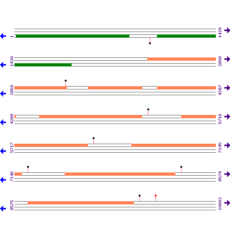 Genome View
