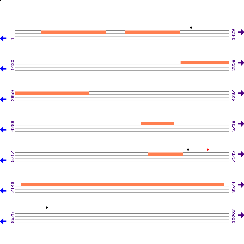 Genome View
