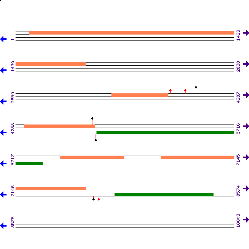 Genome View