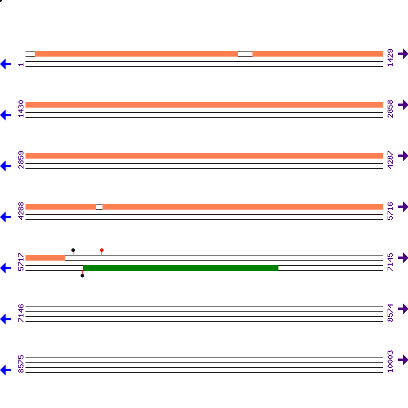 Genome View