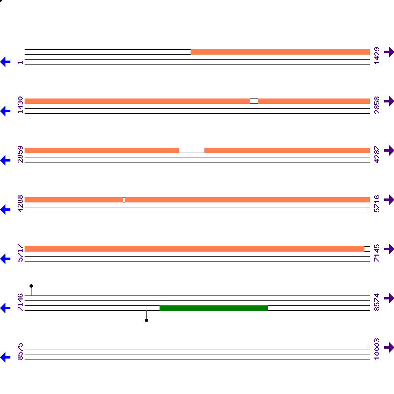 Genome View