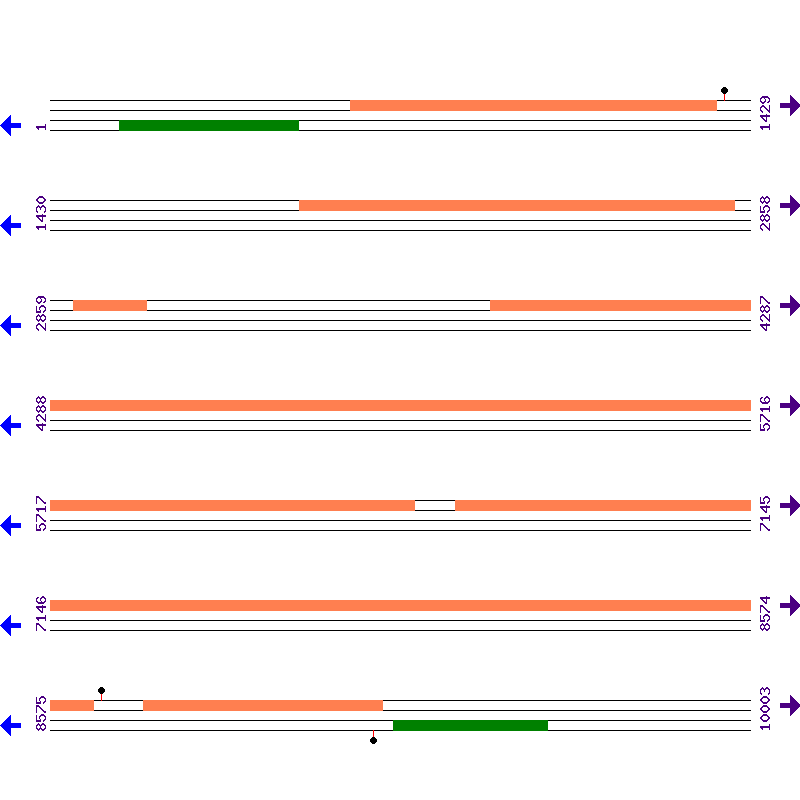 Genome View