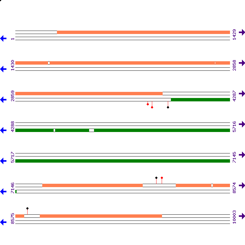 Genome View