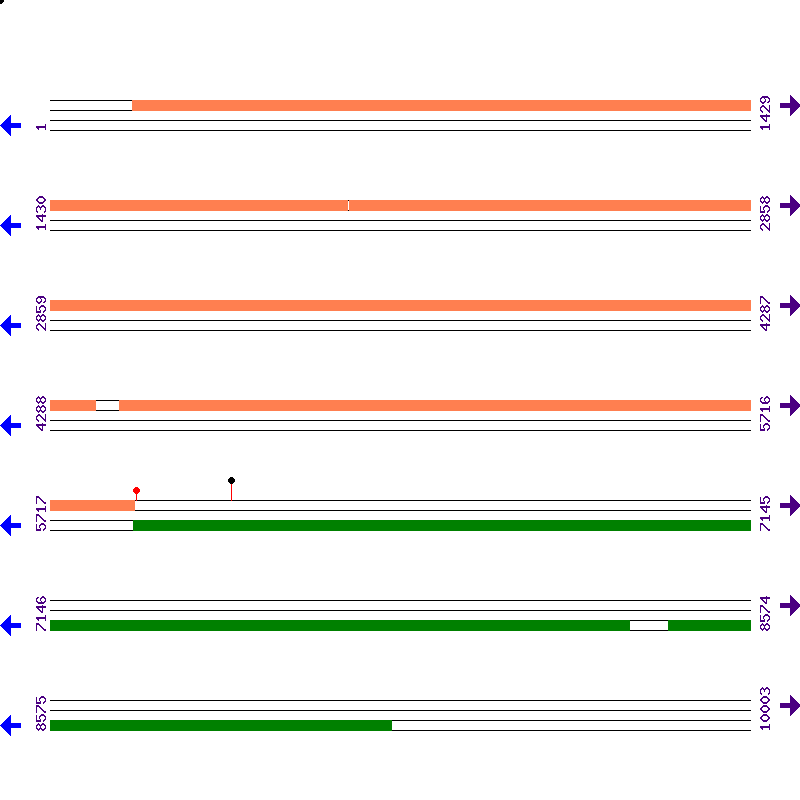Genome View