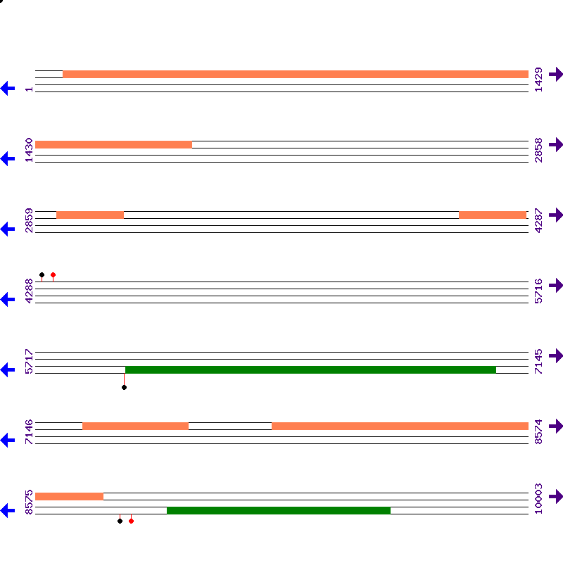 Genome View