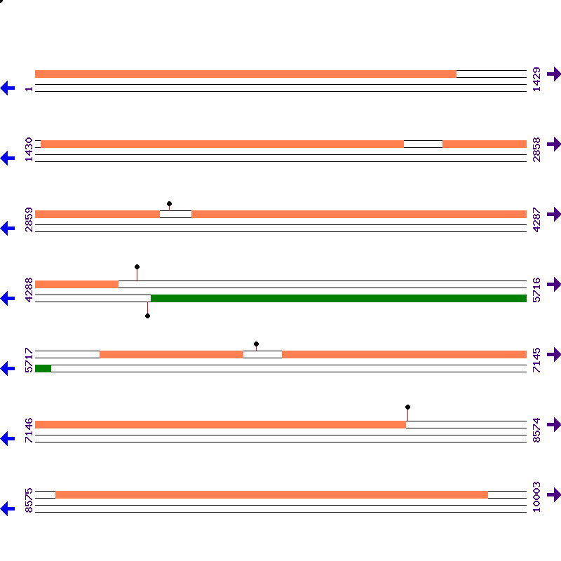 Genome View