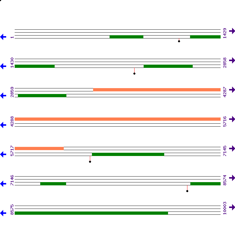 Genome View