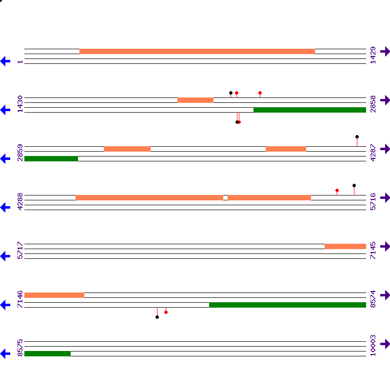 Genome View