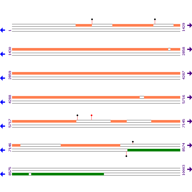Genome View