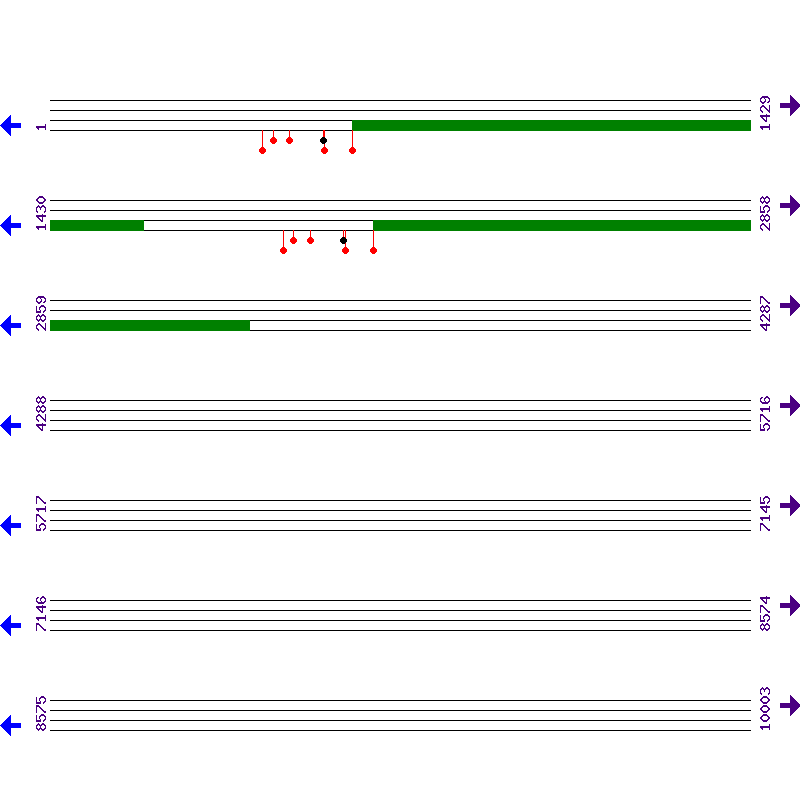 Genome View