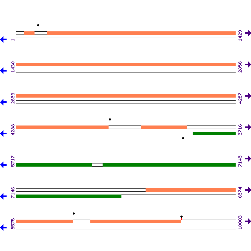 Genome View