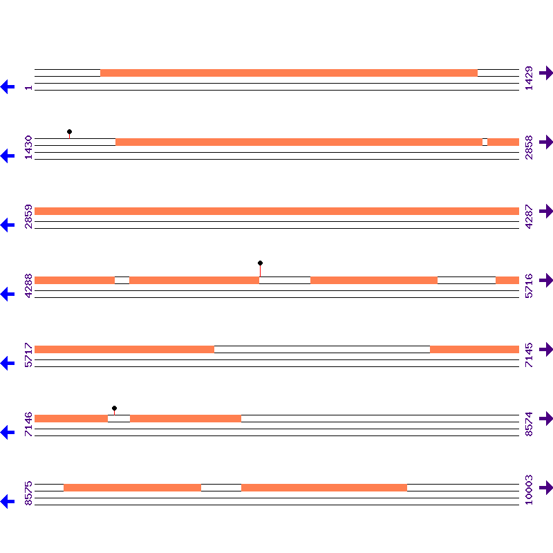 Genome View