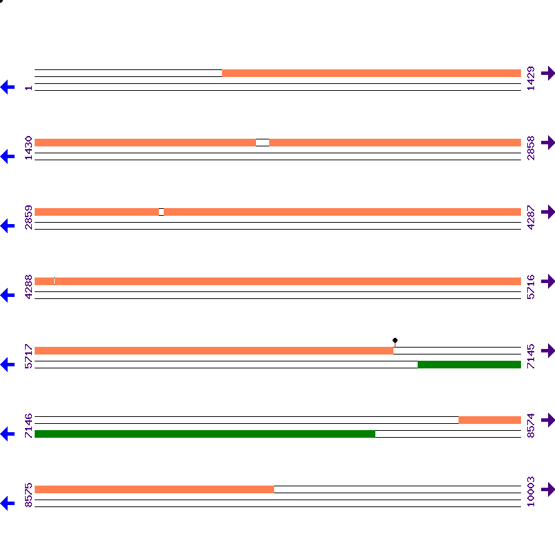 Genome View