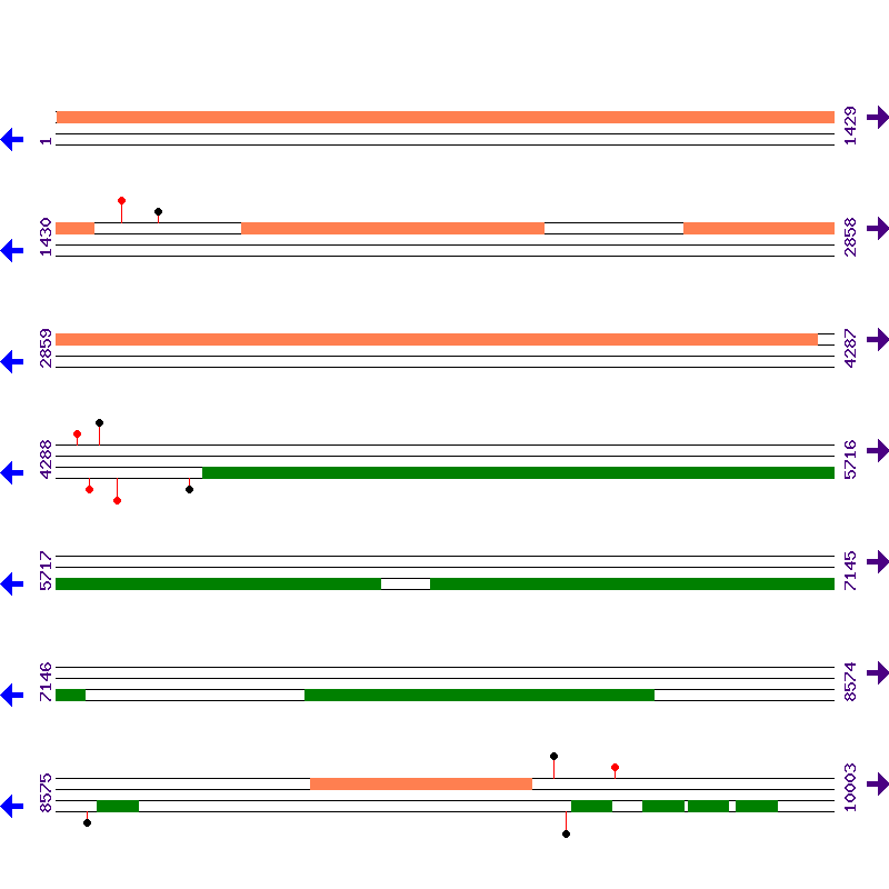 Genome View
