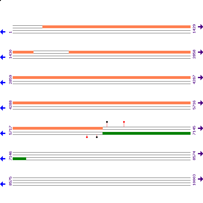 Genome View