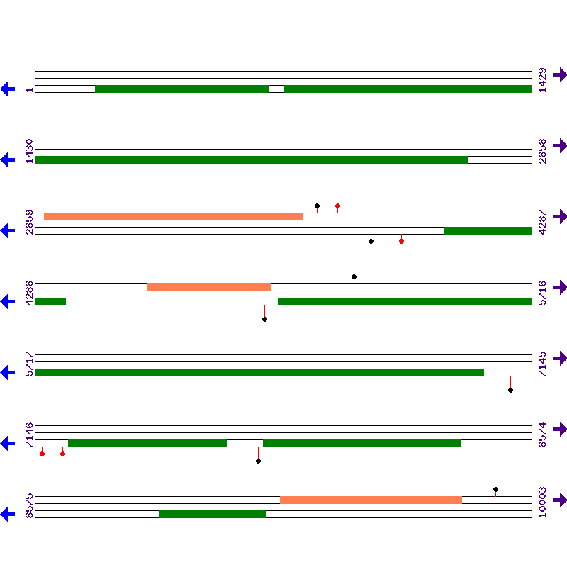 Genome View